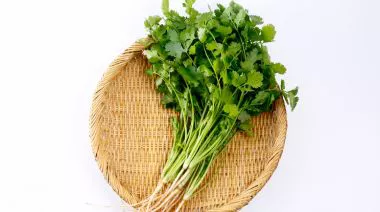 garnishing-instructions-image